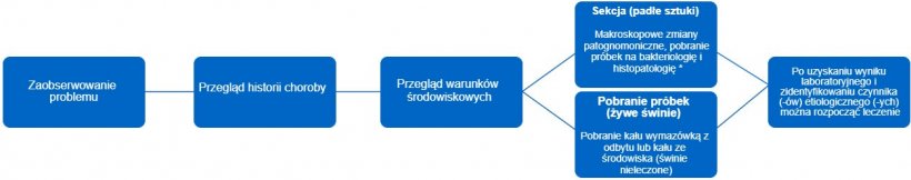 Ryc 1. To drzewo decyzyjne przedstawia kroki, które należy wykonać, aby postawić dokładną diagnozę i właściwe leczenie. * Rodzaj zmiany może dostarczyć nam informacji o tym, czym jest czynnik zakaźny.