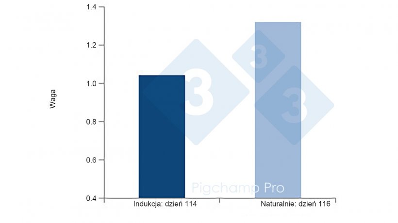 Wykres 4: R&oacute;żnice masy urodzeniowej prosiąt z porod&oacute;w indukowanych (dzień 114) i naturalnych (dzień 116) u bardzo plennych loch.
