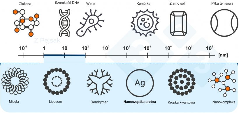 Ryc. 2. Skala nanometryczna